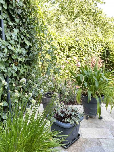 wunderschöner Natursteinboden im Garten aus Travertin Travertin Cashmere Silver