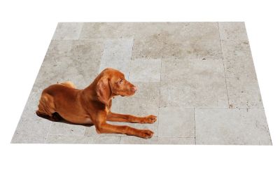hellbeige Travertin Terrassenplatten MEDIUM GREAT - hier fühlt sich auch Ihr Hund wohl